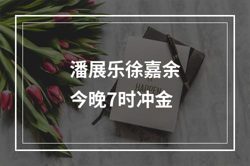 潘展乐徐嘉余今晚7时冲金