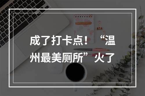 成了打卡点！“温州最美厕所”火了
