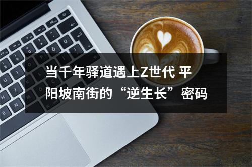 当千年驿道遇上Z世代 平阳坡南街的“逆生长”密码