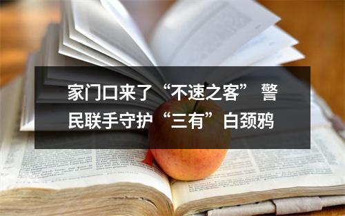 家门口来了“不速之客” 警民联手守护“三有”白颈鸦