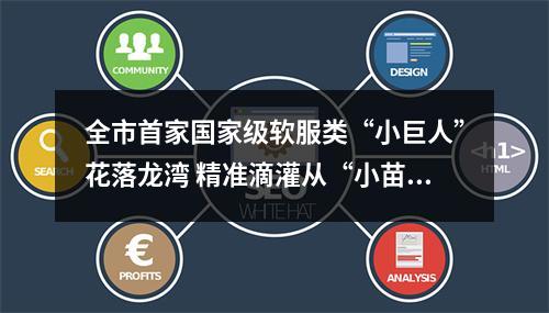 全市首家国家级软服类“小巨人”花落龙湾 精准滴灌从“小苗”起呵护