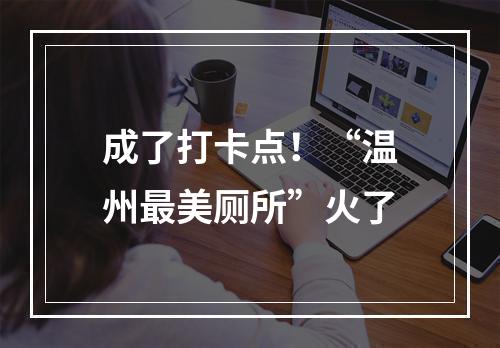 成了打卡点！“温州最美厕所”火了