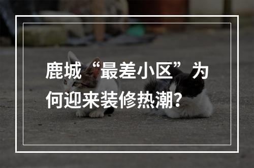 鹿城“最差小区”为何迎来装修热潮？