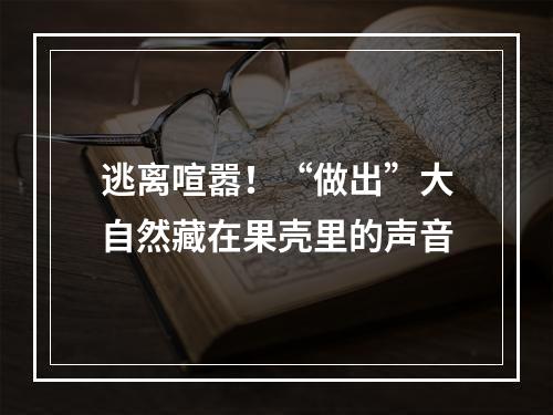 逃离喧嚣！“做出”大自然藏在果壳里的声音