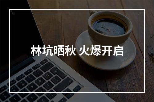 林坑晒秋 火爆开启