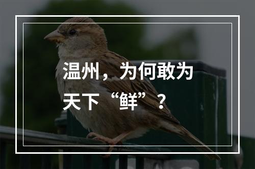 温州，为何敢为天下“鲜”？