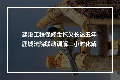 建设工程保修金拖欠长达五年 鹿城法院联动调解三小时化解