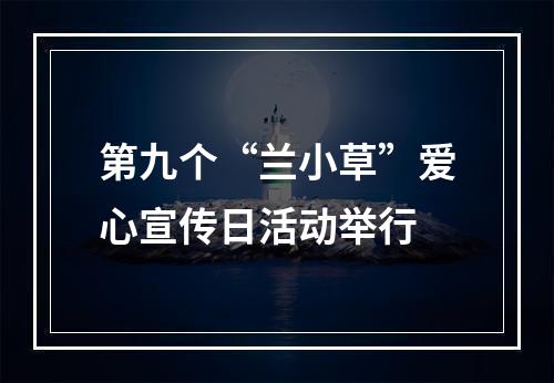 第九个“兰小草”爱心宣传日活动举行