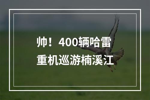 帅！400辆哈雷重机巡游楠溪江