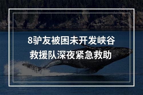 8驴友被困未开发峡谷 救援队深夜紧急救助