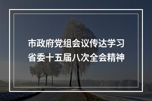 市政府党组会议传达学习省委十五届八次全会精神