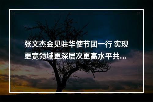 张文杰会见驻华使节团一行 实现更宽领域更深层次更高水平共赢发展