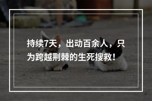 持续7天，出动百余人，只为跨越荆棘的生死搜救！
