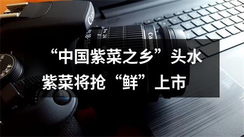 “中国紫菜之乡”头水紫菜将抢“鲜”上市
