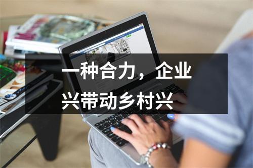 一种合力，企业兴带动乡村兴