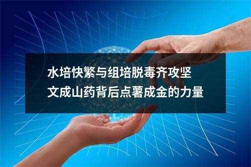 水培快繁与组培脱毒齐攻坚 文成山药背后点薯成金的力量