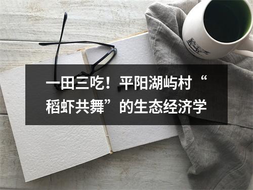 一田三吃！平阳湖屿村“稻虾共舞”的生态经济学