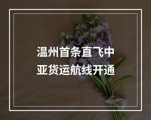 温州首条直飞中亚货运航线开通