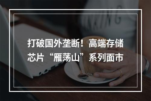 打破国外垄断！高端存储芯片“雁荡山”系列面市