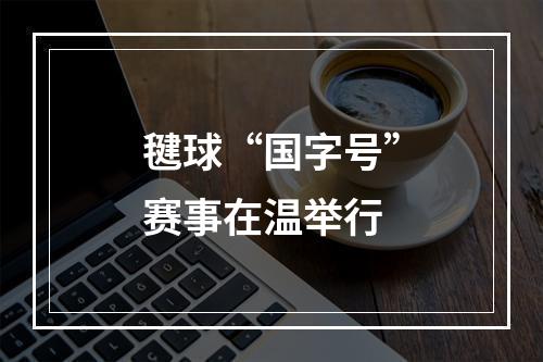 毽球“国字号”赛事在温举行