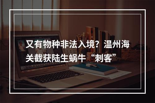 又有物种非法入境？温州海关截获陆生蜗牛“刺客”