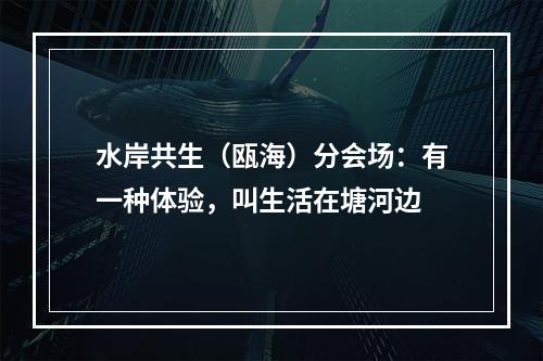 水岸共生（瓯海）分会场：有一种体验，叫生活在塘河边