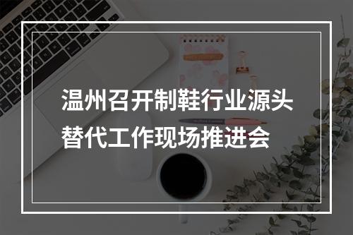 温州召开制鞋行业源头替代工作现场推进会