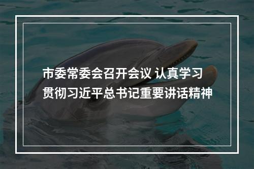 市委常委会召开会议 认真学习贯彻习近平总书记重要讲话精神