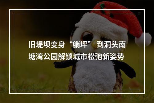 旧堤坝变身“躺坪” 到洞头南塘湾公园解锁城市松弛新姿势