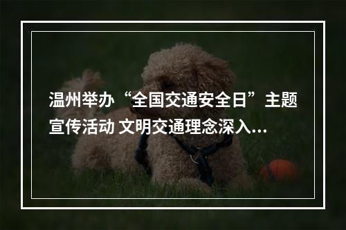 温州举办“全国交通安全日”主题宣传活动 文明交通理念深入群众日常