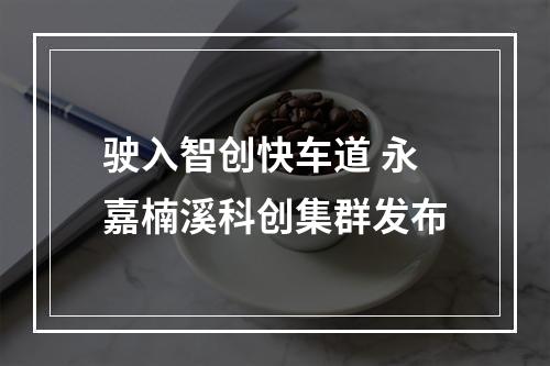 驶入智创快车道 永嘉楠溪科创集群发布