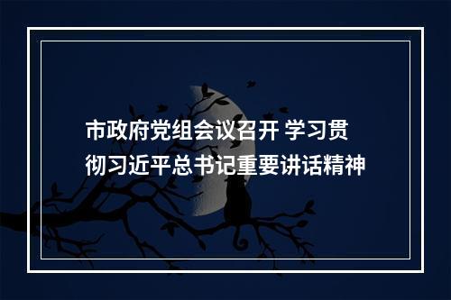 市政府党组会议召开 学习贯彻习近平总书记重要讲话精神
