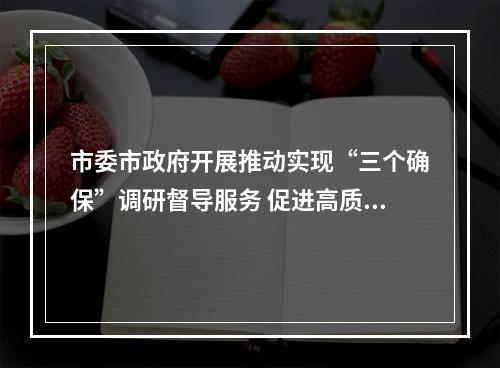 市委市政府开展推动实现“三个确保”调研督导服务 促进高质量发展和高水平安全良性互动