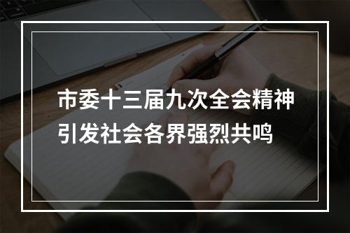 市委十三届九次全会精神引发社会各界强烈共鸣