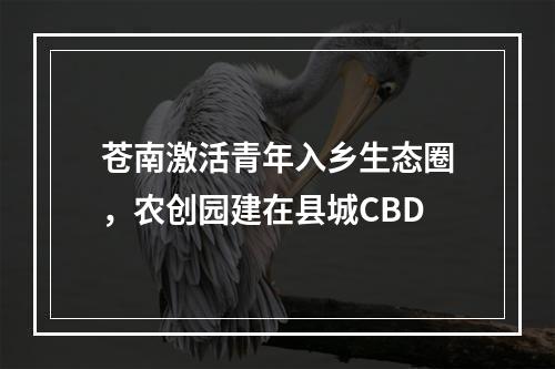 苍南激活青年入乡生态圈，农创园建在县城CBD