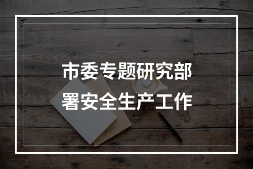 市委专题研究部署安全生产工作