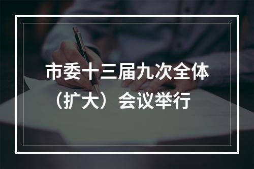 市委十三届九次全体（扩大）会议举行