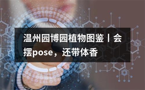温州园博园植物图鉴丨会摆pose，还带体香