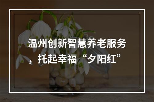 温州创新智慧养老服务，托起幸福“夕阳红”