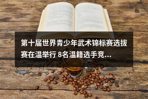 第十届世界青少年武术锦标赛选拔赛在温举行 8名温籍选手竞武逐梦