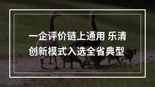 一企评价链上通用 乐清创新模式入选全省典型