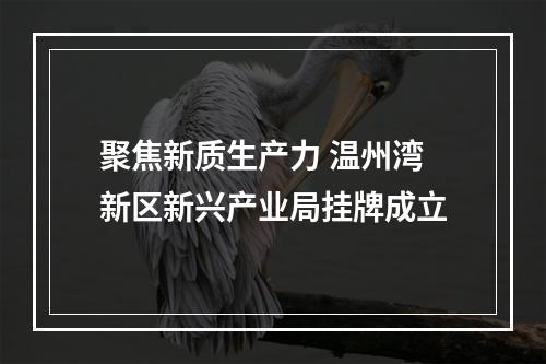 聚焦新质生产力 温州湾新区新兴产业局挂牌成立