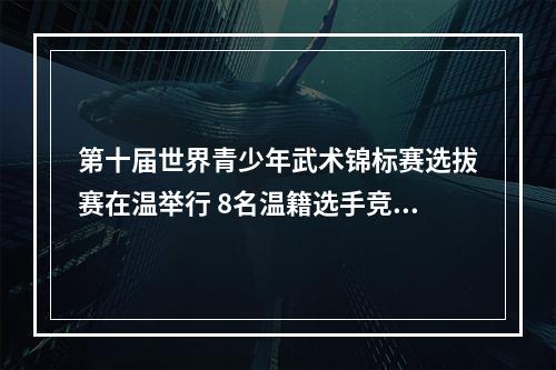 第十届世界青少年武术锦标赛选拔赛在温举行 8名温籍选手竞武逐梦