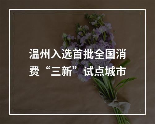 温州入选首批全国消费“三新”试点城市