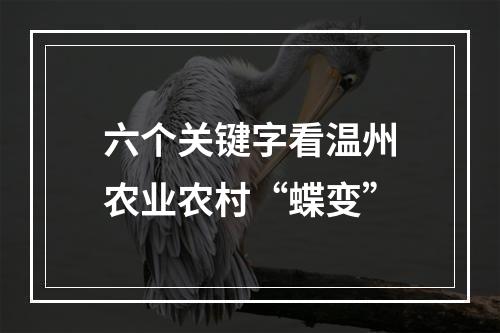 六个关键字看温州农业农村“蝶变”