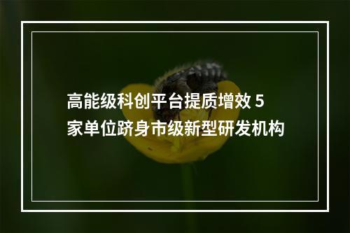高能级科创平台提质增效 5家单位跻身市级新型研发机构