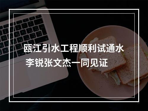 瓯江引水工程顺利试通水 李锐张文杰一同见证