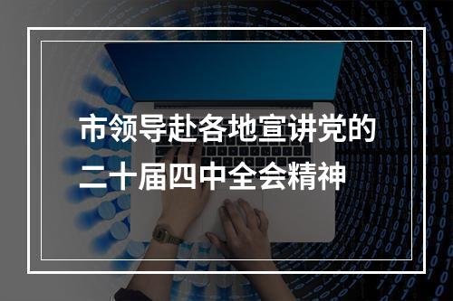 市领导赴各地宣讲党的二十届四中全会精神