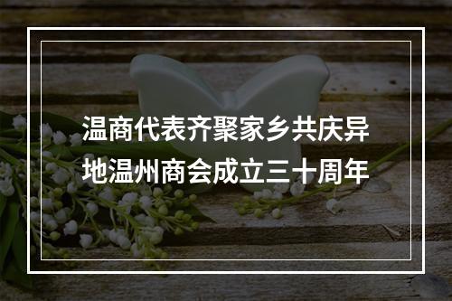 温商代表齐聚家乡共庆异地温州商会成立三十周年