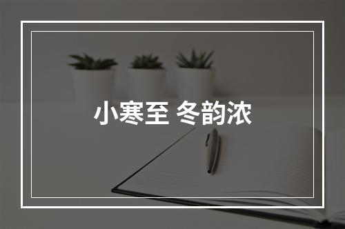 小寒至 冬韵浓